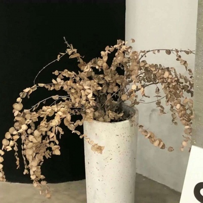 兽设家庭场景设计福瑞交流群